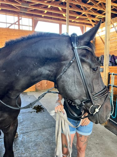 Customer photo review of Solo Lydia Snaffle