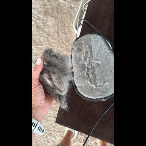 Customer photo review of Gant Statique Anti-Poils de Chat
