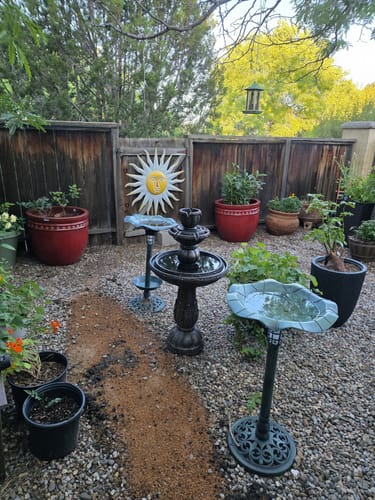 Customer photo review of Bosconero Cordless Fountain