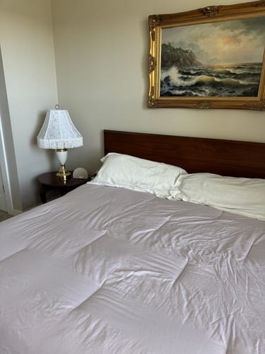 Customer photo review of Temperature Control Dual-Layer Comforter