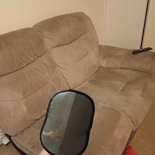 Customer photo review of Gant Statique Anti-Poils de Chat