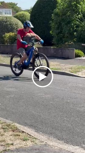 Customer video review of Kvisp Dog Bike Carrier