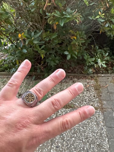 Customer photo review of VIKINGS. - GOLD