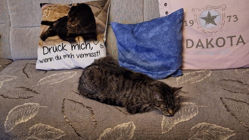 undefined review of Drück mich, wenn du mich vermisst - Individuelles Kissen image 1 out of 1