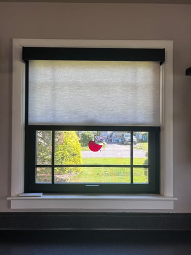 Customer photo review of SmartWings Motorized Light Filtering Roller Shades 70% Blackout Safari