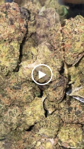 Customer video review of 1oz Greenhouse Smalls