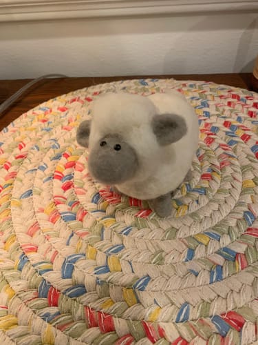 Customer photo review of White Sheep Mini Needle Felting Kit