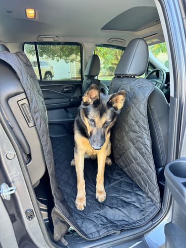 Customer photo review of Floor Hammock® Truck Door Covers - Set of 2