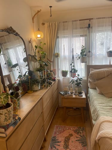 Customer photo review of Fungus Gnat Death Drops