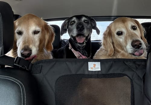 Customer photo review of Dog Deterrent Barrier