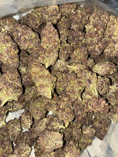 Customer photo review of Granddaddy Purple - Bulk - (Indica)