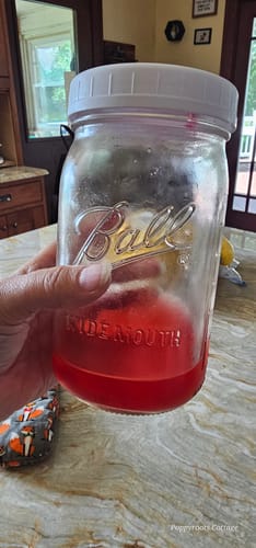 Customer photo review of WICKED Protein Powder Sampler Bundle Deal (IN STOCK)