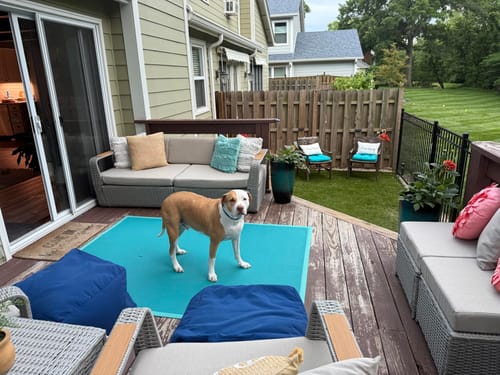 Customer photo review of Homrest 6 Pcs Patio Furniture Set with Thick Cushion and Coffee Table, Light Gray