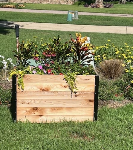 Customer photo review of 18" x 36" Planter Box - 24" TALL