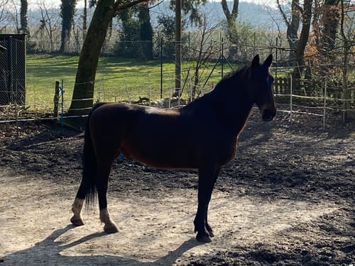 Customer photo review of Kristallkraft Coolly