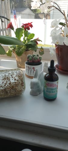 Customer photo review of Ultimate Minerals (4 oz) 10.00% Off Auto renew