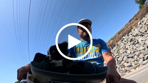 Customer video review of Kvisp Dog Bike Carrier