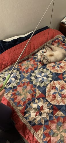 Customer photo review of Magnetic Catch Wand