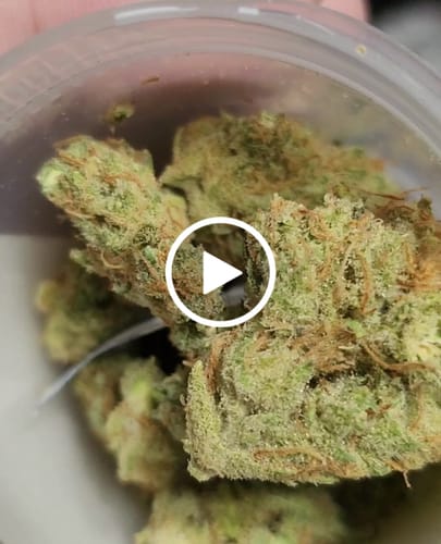 Customer video review of Shishkaberry x Old Widow