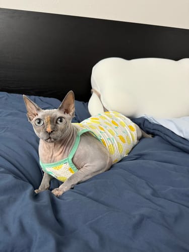 Customer photo review of Temperature Control Dual-Layer Comforter