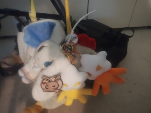 Customer photo review of Adopt a Star Baby Plush Blind Box