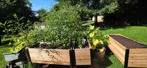 Customer photo review of 18" x 48" Raised Garden Bed - 30" TALL