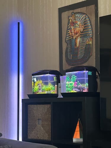 Kundenbewertung mit Foto zu LEDVANCE SMART+ WIFI LED Eck-Stehleuchte, 200cm, schwarz