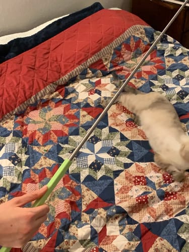 Customer photo review of Magnetic Catch Wand