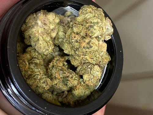 Customer photo review of Hindu Kush