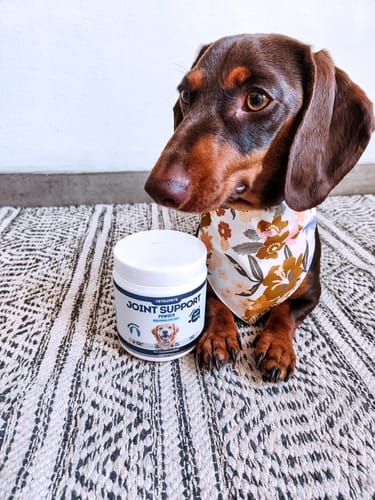 Customer photo review of Joint Support Powder
