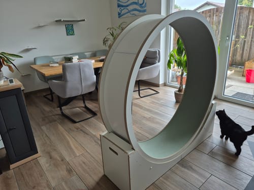 Vivien K. review of Elmato Katzenlaufrad Simba image 1 out of 1