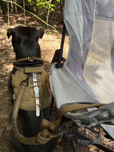 Customer photo review of Ultimate Wellness Band