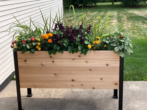 Customer photo review of 18" x 48" Raised Garden Bed - 30" TALL