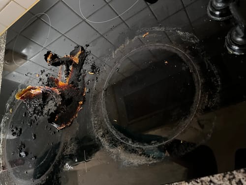 Customer photo review of SHYN Grime Lifter