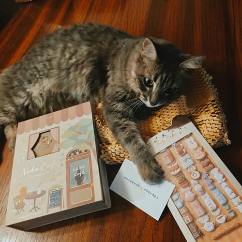 Customer photo review of Tsuki ‘Neko Cafe’ Travel Notebook Gift Set ☾