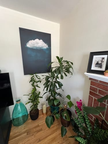 Customer photo review of Deep Blue Cloud Print