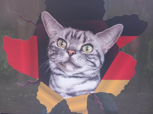 undefined review of Spähendes Foto - Individueller Autoaufkleber image 1 out of 1