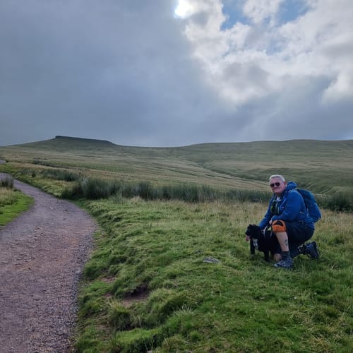 Mark E. review of Knee Compression Support Sleeve For Arthritic Relief & Pain Recovery image 1 out of 1