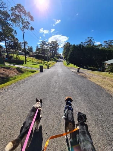 Customer photo review of SKYPRO - Caméra POV
