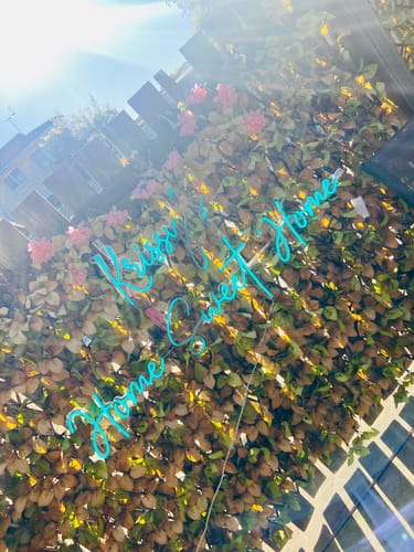 Customer photo review of Custom LED Neon Logo