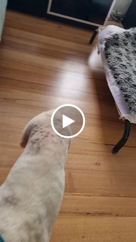 Customer video review of Square Silicone Non Slip Floor Protector - Floor Protection