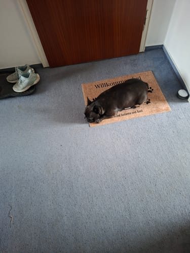 Customer photo review of Willkommen bei - Individuelle Fußmatte