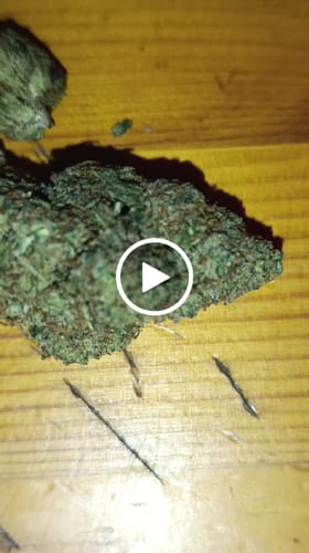 Jonas F. review of California Love THC-A Blüten image 1 out of 1