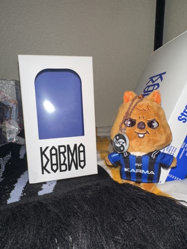 Customer photo review of STRAY KIDS - KARMA 4TH ALBUM MUSICPLANT GIFT SKZOO VER