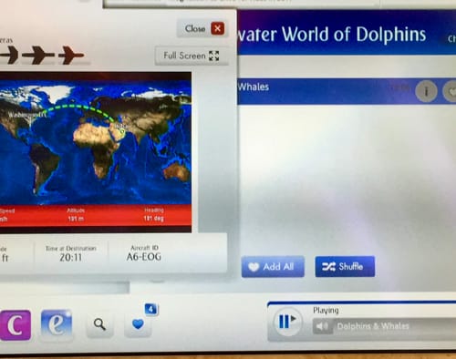 Customer photo review of SPOTMINDERS. Tracking card