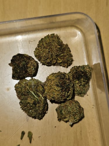 Markus A. review of California Love THC-A Blüten image 1 out of 1