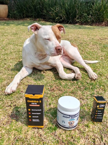 Customer photo review of Premium CBD Oil