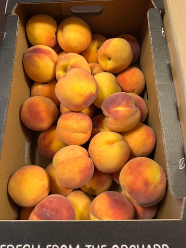 Customer photo review of Local Peaches, Case Lot