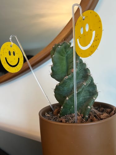 Customer photo review of Killer Smiles