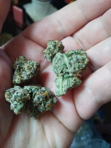 Customer photo review of Apple Banana – Budget THCA